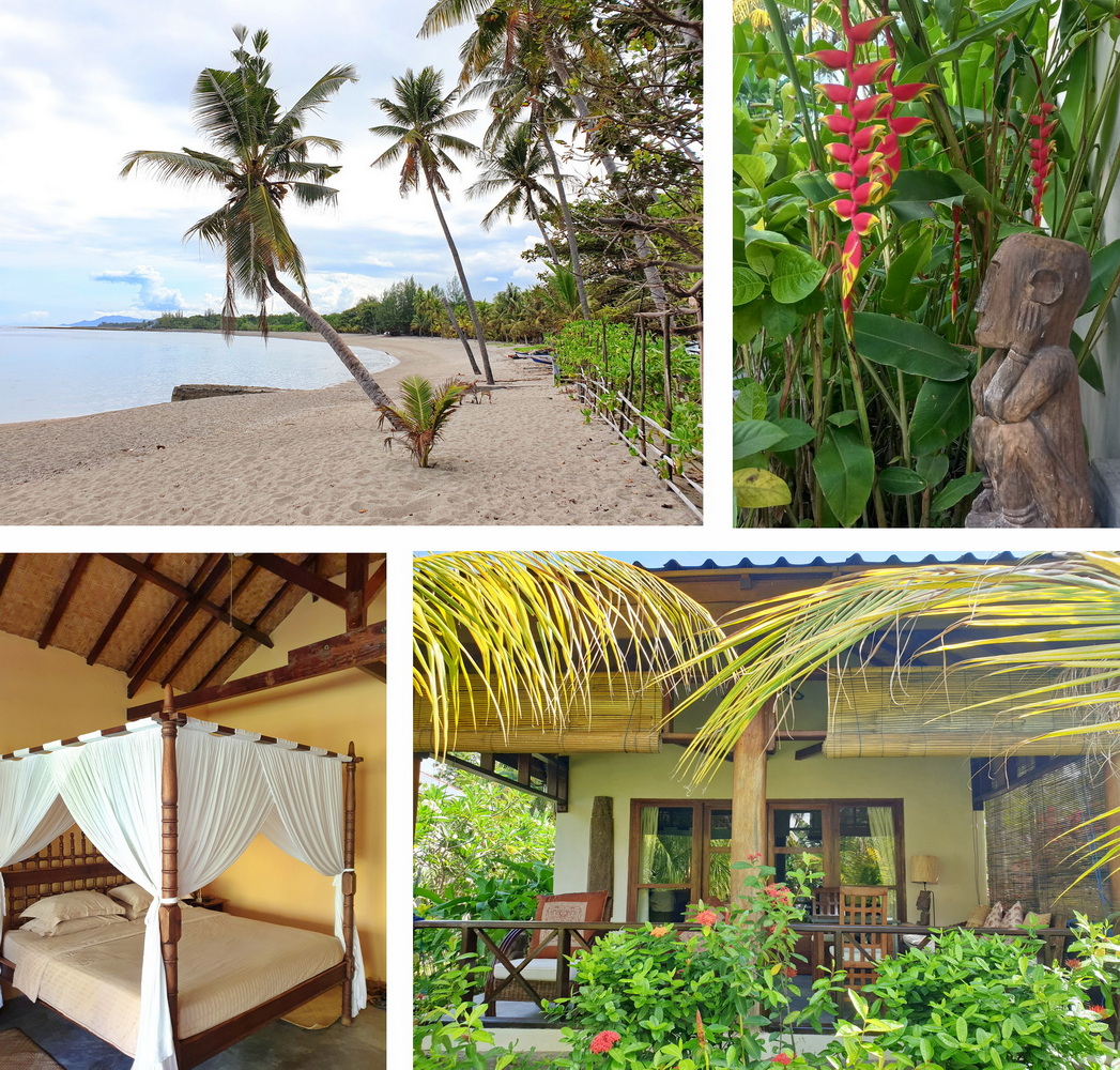 Waiara Village Guest House Mauemre Flores Indonesia